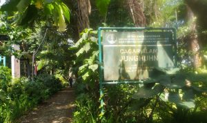 Jughuhn, Sosok yang Dilupakan dan Ditinggalkan Sejarah Indonesia