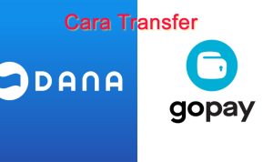 Cara Transfer Saldo DANA ke GoPay dan Sebaliknya dengan Mudah Cara transfer Saldo DANA ke GoPay dan Sebaliknya dengan Mudah