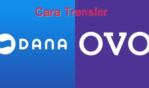 Cara Transfer Saldo DANA ke OVO dan OVO ke DANA Tanpa Ribet
