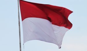 Teks Sumpah Pemuda/Pixabay/Mufidpwt