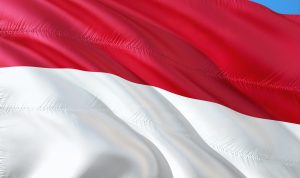 Makna Sumpah Pemuda/Pixabay/Jorono