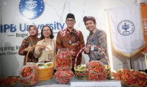 Ini Keunggulan Cabai Rawit Merah Bonita IPB University, Varietas Non Hibrida Setara Hibrida
