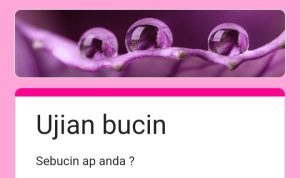 LINK Tes Ujian Bucin Viral di TikTok via Google Form TERBARU, Periksa Seberapa Bucin Kamu di Sini!