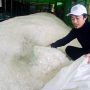 RPSC Ajak Masyarakat Cinta Lingkungan Lewat Pelatihan Pengolahan Sampah