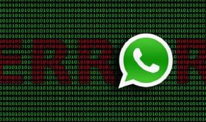 whatsapp error