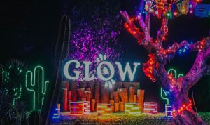 Wisata Glow Kebun Raya Terus Tuai Polemik, Bima Arya Sayangkan Sikap Pengelola