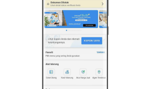 Cara Mendapatkan Penghasilan Tambahan, Bisa Hasilkan Rp5 Juta per Bulan