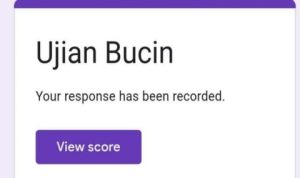 link tes ujian bucin google form 2022