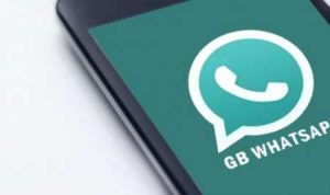 Download WA GB Apk Pro WhatsApp Apk 13.50.71 Terbaru, Banyak Update Fitur Menarik Gratis!