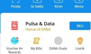 cara dapat saldo dana gratis