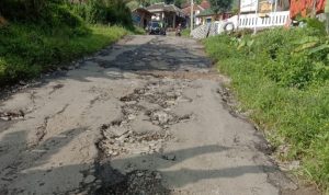 Kerusakan parah akses jalan di Desa Jaya Sukamakmur kabupaten Bogor. (sandika/jabarekspres)