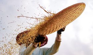 Dapat Anggaran 1,5 Miliar, DKPP Jabar Akan Gelar Pangan Murah di 27 Kota Kabupaten se-Jabar Ilustrasi bahan pangan yang akan di jual di gelaran pangan murah oleh DKPP