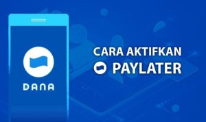 Cara Aktifkan DANA Paylater