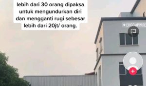 Viral 30 Karyawan Brand Lokal Terkena PHK dan Harus Bayar Rp30 Juta per Orang, Muncul Dugaan Erigo Viral 30 Karyawan Brand Lokal Terkena PHK dan Harus Bayar Rp30 Juta per Orang, Muncul Dugaan Erigo