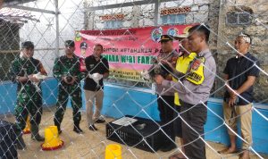 Hadapi Isu Ketahanan Pangan, Ribuan Ekor Ayam Kampung Diternakkan