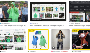 Monyet Pakai Jas Hujan Viral Karena Jokowi
