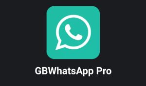 Download GB WhatsApp Apk Pro v 16.0, Versi Terbaru Banyak Fitur Menarik Dan Anti Banned
