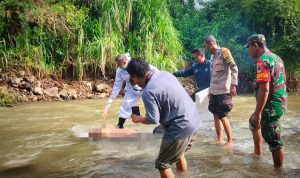 Ngeri! Mayat Tanpa Busana Mengambang di Sungai LAKUKAN EVAKUASI: Jajaran petugas Polresta Bogor Kota saat mengidentifikasi jasad mayat di Sungai Ciapus, Kampung Sawah, Balumbang, Bogor Barat, Kota Bogor, Rabu (9/11). (Istimewa)