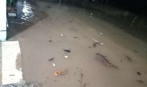 Kecamatan Cikarang Selatan Terendam Air, Ternyata Ini Penyebabnya, Imbas Proyek Jalan Provinsi hingga Gagalnya Perencanaan