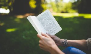 Contoh Puisi Tentang Pahlawan Penuh Semangat dan Inspirasi Peringati 10 November Contoh Puisi Pahlawan/Pixabay/Pexels