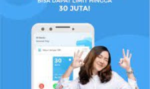 Pinjaman online Bunga Rendah Limit Tinggi Hingga Rp 30 Juta