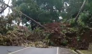 Akibat Gempa di Cianjur, Jalur Jalan Cianjur-Bogor Lumpuh, Rumah-Rumah Ambruk, hingga Listrik Padam