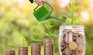 Tips Berinvestasi untuk Pemula. Jauhi Tertipu, Dekati Keuntungan!