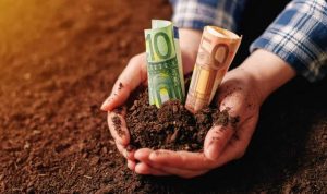 Tips Investasi Tanah untuk Karyawan, Dijamin Gak Bakal Ketipu!