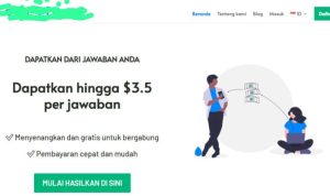 Cara dapat duit melalui survei online