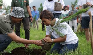 Peringati Hari menanam Pohon, Perhutani Bersama LMDH Deklarasikan Gerakan Konservasi Air Peringati Hari menanam Pohon, Perhutani Bersama LMDH Deklarasikan Gerakan Konservasi Air