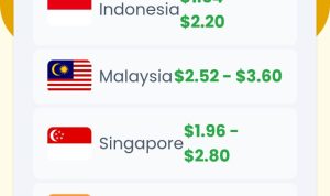 MENGUNTUNGKAN: Website saldo DANA gratis hingga jutaan rupiah bisa diakses oleh siapapun tanpa ribet dan susah payah. (ILUSTRASI)