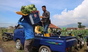 Supply Chain Center (SCC) diharapkan kelak akan menajdi Pengendali Inflasi Jabar di Masa Depan