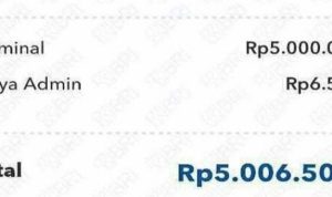 Tahun Baru Dapat Saldo Dana Kaget Gratis Langsung Cair Rp600 Ribu Dari Aplikasi Terbaru, Buat Jajan Tahun Baru