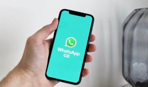 download wa gb