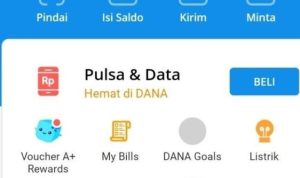saldo dana 10 juta