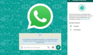 download wa gb