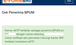 Link Login Bantuan BPUM 2022 Beserta Bocoran Pencairan BLT UMKM Rp600 Ribu, Cek disini! bantuan bpum 2022