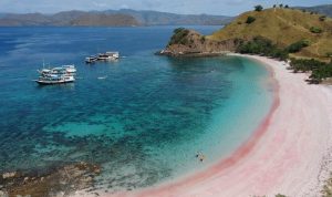 5 Reasons Why You Should Come To Komodo Island For Vacation