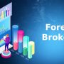 Cara Terbaik Memilih Broker Forex Dalam Dunia Investasi