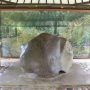 Keberadaan Situs Sejarah Batutulis di Kota Bogor keadaannya kurang tertata dengan baik. Sebab, berdasarkan kewenangan Pemerintah Kota Bogor