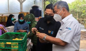 Kinerja Holding Ultra Mikro yang digagas oleh BRI, PT Pegadaian dan PT PNM dapat pujian dari menteri BUMN Erick Thohir.