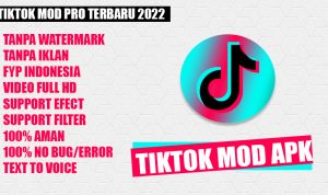 TikTok APK Download No Watermark 2022