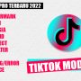 TikTok APK Download No Watermark 2022