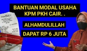 Kalian bisa dapat bantuan saldo DANA gratis Rp 6 juta dari Kemensos untuk modal usaha yang akan cair hingga akhir Desember 2022 ini.