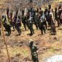 Tentara OPM Serang Warga Sipil di Papua hingga Tewas