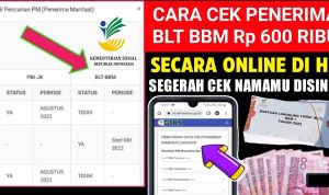 RESMI DARI PEMERINTAH: Kamu disarankan segera mendaftar jika ingin mendapatkan saldo dana gratis Rp 600 ribu dari subsidi BBM, dan akan cair jelang kahir tahun ini.