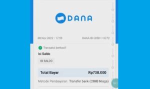 Saldo Akhir Tahun Guys! Dapat Saldo DANA Gratis Rp500.000 Ribu Langsung Cair Setiap Jam