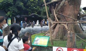 Sejumlah tempat wisata di Lembang Kabupaten Bandung Barat masih dipadati oleh para wisatawan memasuki libur akhir tahun.