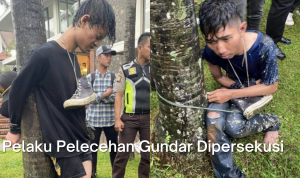 Pelaku Pelecehan Seksual Universitas Gunadarma Dipersekusi Oleh Mahasiswa Lainnya pelaku pelecehan seksual gundar dipersekusi