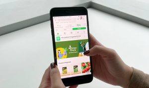 Banyak Dicari, Tokopedia Bagikan Tips Memilih Tanaman Rumah Agar Lebih Asri